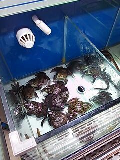 20160416_130357.jpg